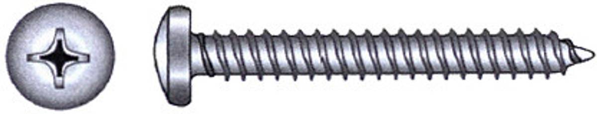 Plateskrue A4 DIN 7981, 2,9 x 13 mm, 20 stk