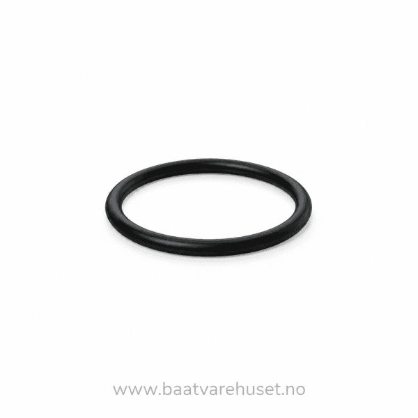 Hovedbilde Volvo Penta 861897 O-ring 